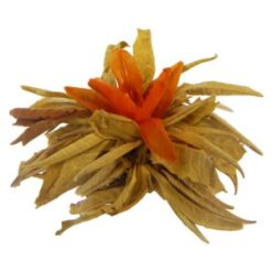 HERBATA KWITNĄCA CENTURY LOVER 1SZT.