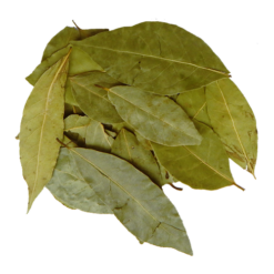 PRZYPRAWA - LIŚĆ LAUROWY 50G